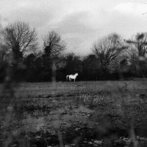 When You Run Away Do You Close Your Eyes